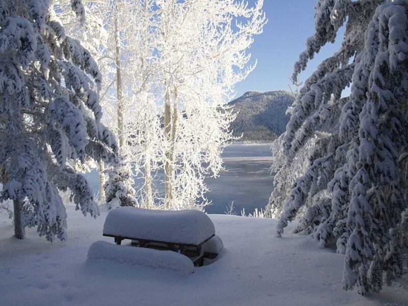 Snow-covered Picnic Table — White, Serene