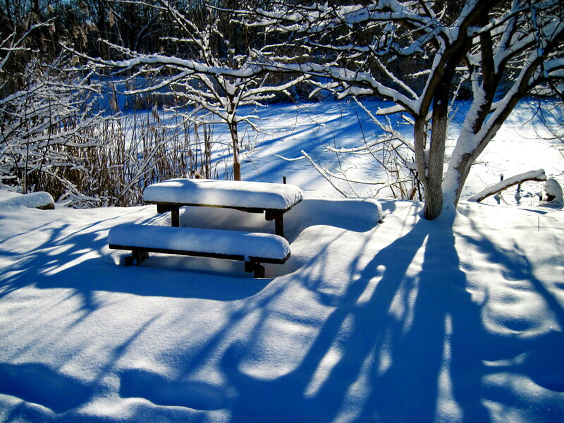 Snow-covered Picnic Table — White, Serene, Winter, Photograph
