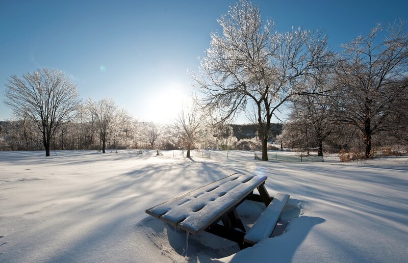 Snow-covered Picnic Table — White, Serene, Winter, Photograph, Trees