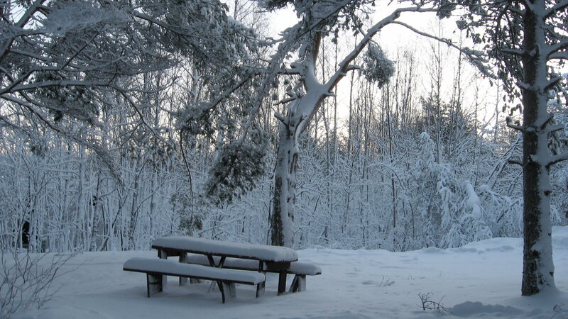 Snow-covered Picnic Table — White