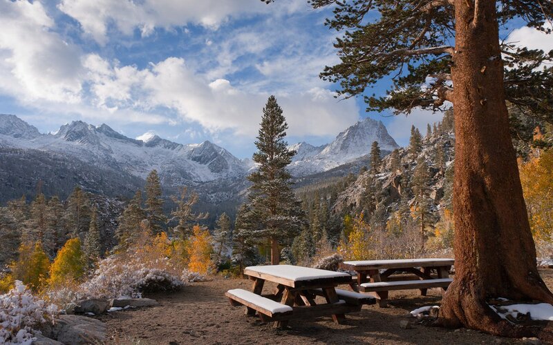 Snow-covered Picnic Tables — Blue, Serene