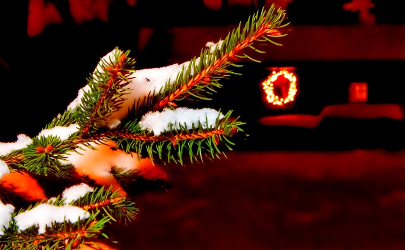 Snow-covered Pine Branch — Green, Festive, Night