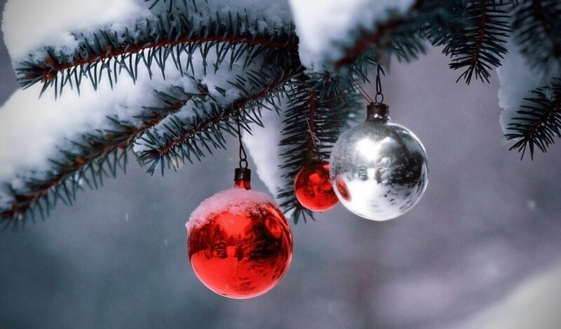 Snow-covered Pine Branch — Red, Serene