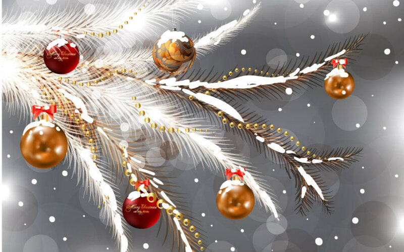 Snow-covered Pine Branch — White, Festive
