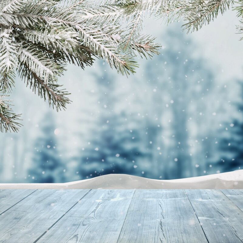 Snow-covered Pine Branch — White, Serene, Winter, Photograph, Pine Branch