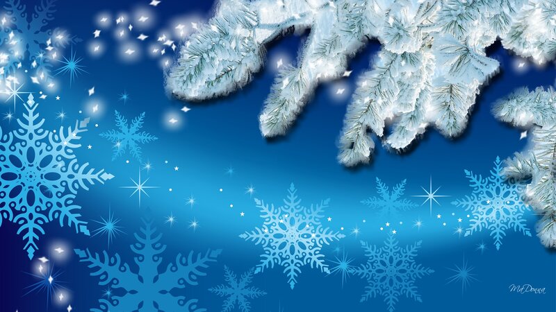 Snow-covered Pine Branches — Blue, Festive