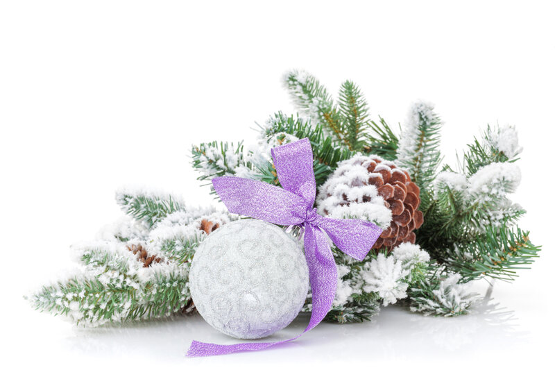 Snow-covered Pine Branches — White, Festive