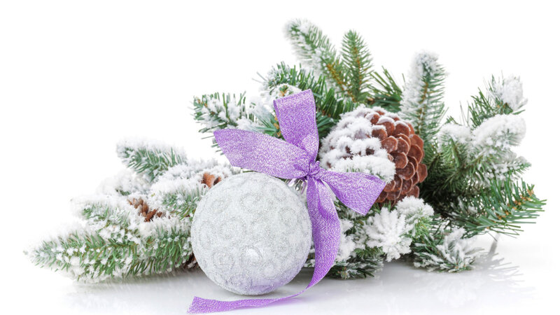 Snow-covered Pine Branches — White, Festive, Winter