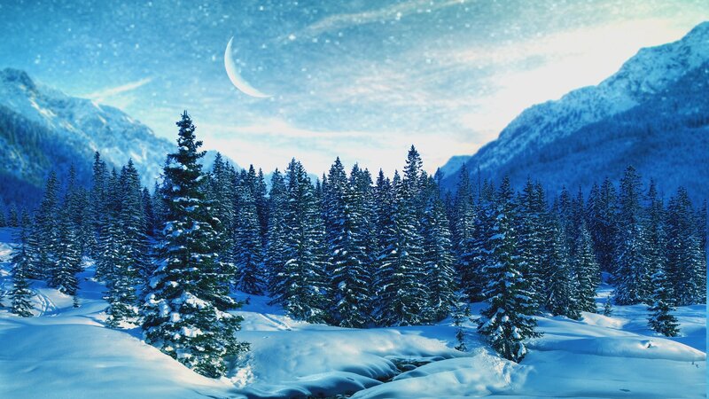 Snow-covered Pine Forest — Blue, Serene, Night, Digital Art