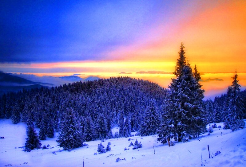 Snow-covered Pine Forest — Blue, Serene, Sunset