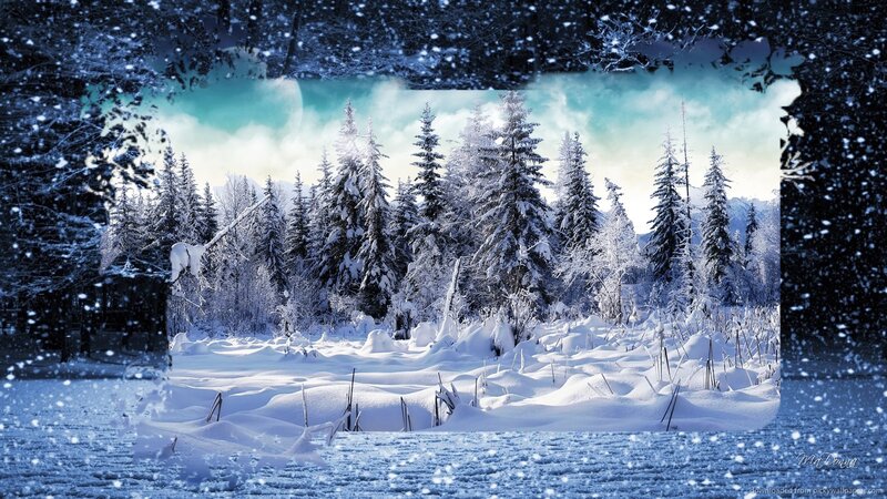 Snow-covered Pine Forest — Blue, Serene, Winter, Digital Art, Trees