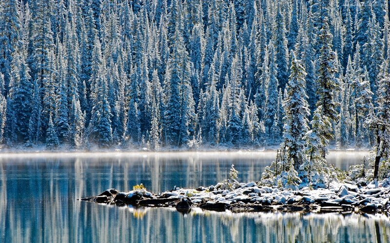 Snow-covered Pine Forest — Blue, Serene, Winter, Photograph, Lake, Fog