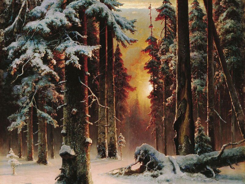 Snow-covered Pine Forest — Green