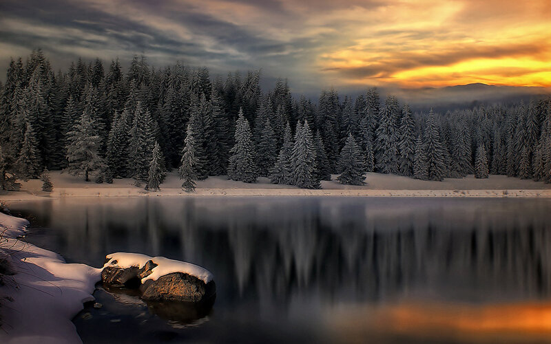 Snow-covered Pine Forest — Orange, Dramatic, Sunset