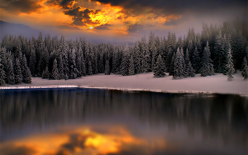 Snow-covered Pine Forest — Orange, Dramatic