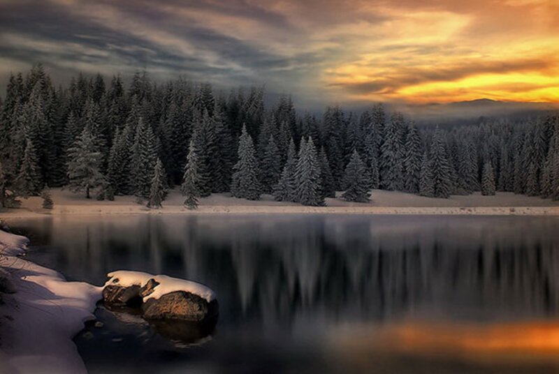 Snow-covered Pine Forest — Orange, Serene, Sunset, Photograph