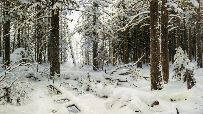 Snow-covered Pine Forest — White, Serene, Winter, Painting
