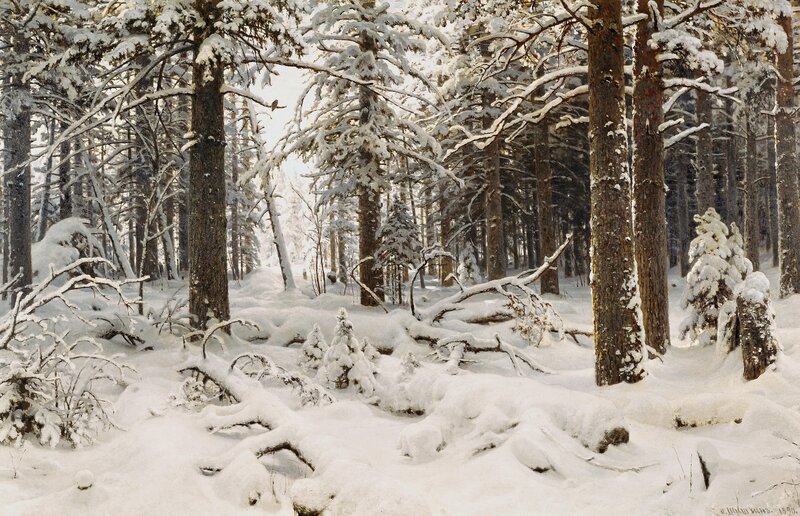 Snow-covered Pine Forest — White, Serene, Winter, Painting, Trees, Snow