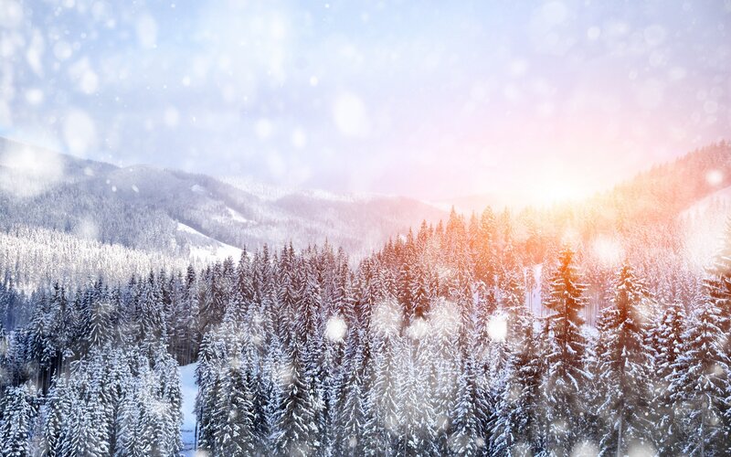 Snow-covered Pine Forest — White, Serene, Winter, Photograph, Mountains, Snowfall