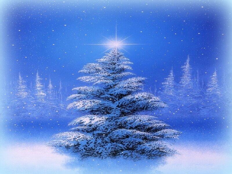 Snow-covered Pine Tree — Blue, Serene, Night, Digital Art, Star