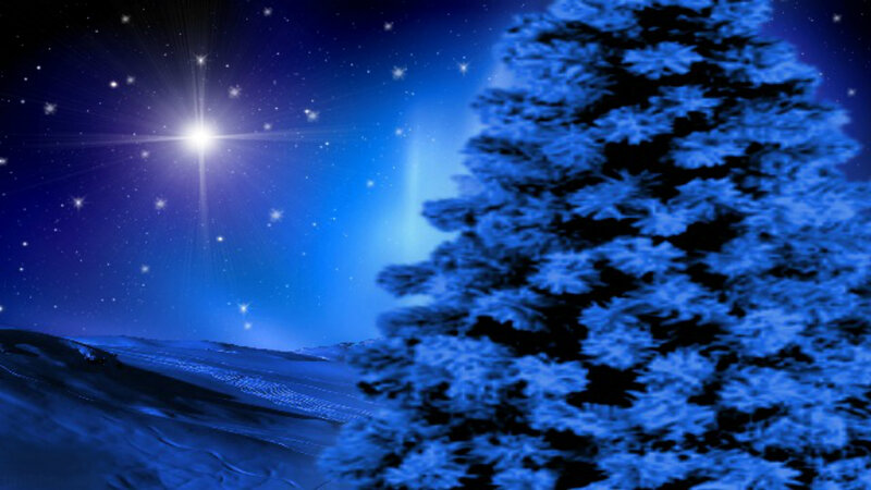 Snow-covered Pine Tree — Blue, Serene, Night, Digital Art