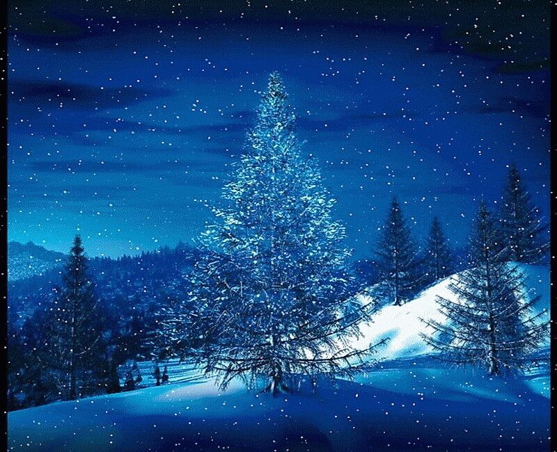 Snow-covered Pine Tree — Blue, Serene, Night