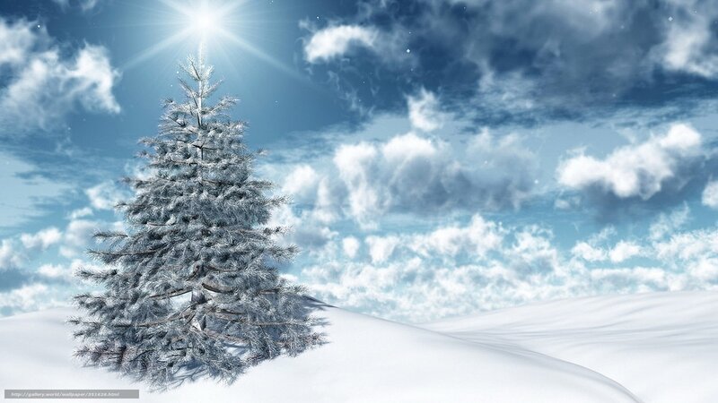 Snow-covered Pine Tree — Blue, Serene, Winter, Digital Art, Snow, Clouds