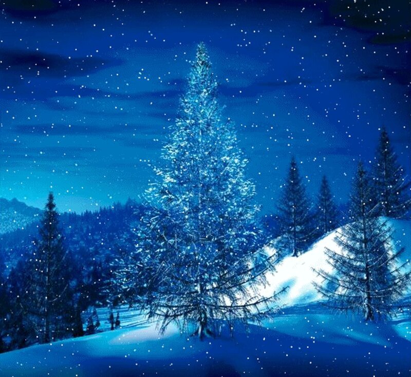 Snow-covered Pine Tree — Blue, Serene, Winter, Digital Art, Snow