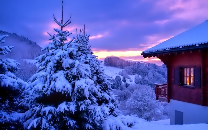Snow-covered Pine Tree — Blue, Serene, Winter, Photograph, Cabin