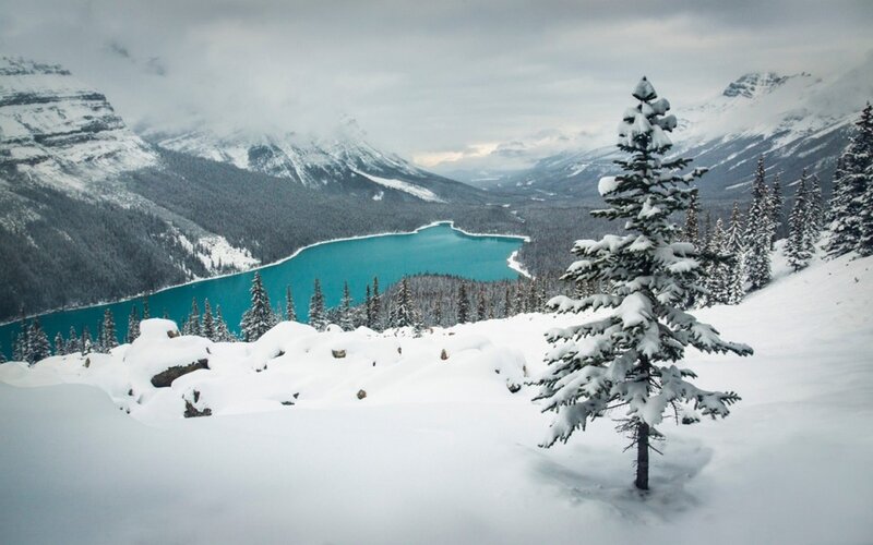Snow-covered Pine Tree — Blue, Serene, Winter, Photograph, Lake, Mountains