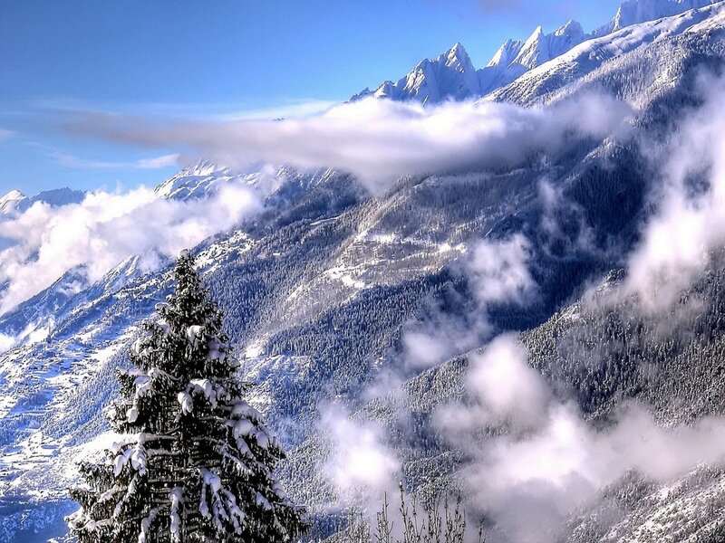 Snow-covered Pine Tree — Blue, Serene, Winter, Photograph, Mountains, Clouds, Forest