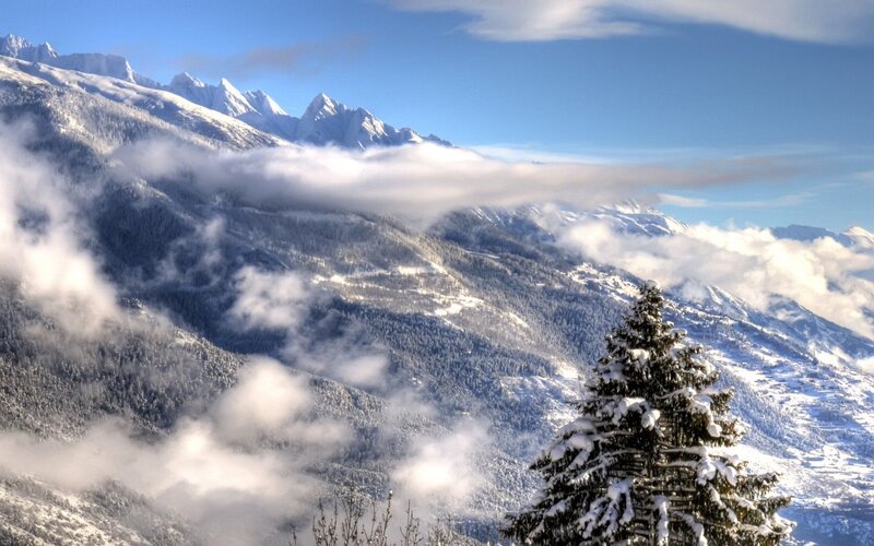 Snow-covered Pine Tree — Blue, Serene, Winter, Photograph, Mountains, Clouds, Forest, White, Green