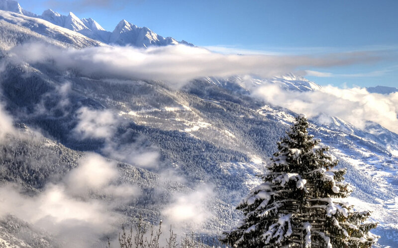 Snow-covered Pine Tree — Blue, Serene, Winter, Photograph, Mountains, Clouds