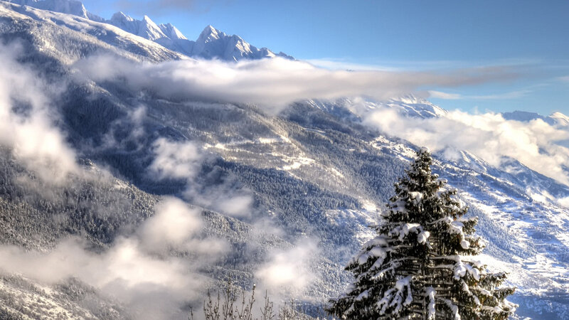Snow-covered Pine Tree — Blue, Serene, Winter, Photograph, Mountains