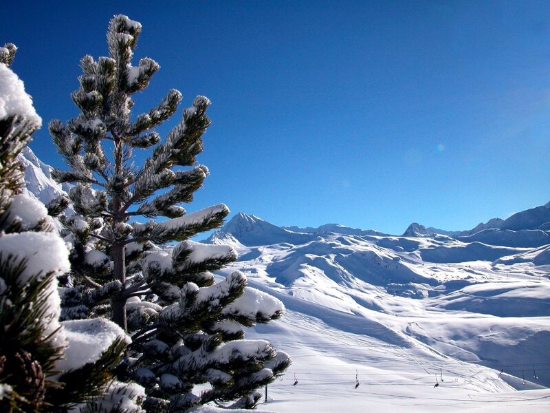 Snow-covered Pine Tree — Blue, Serene, Winter, Photograph, Pine Tree, Mountains