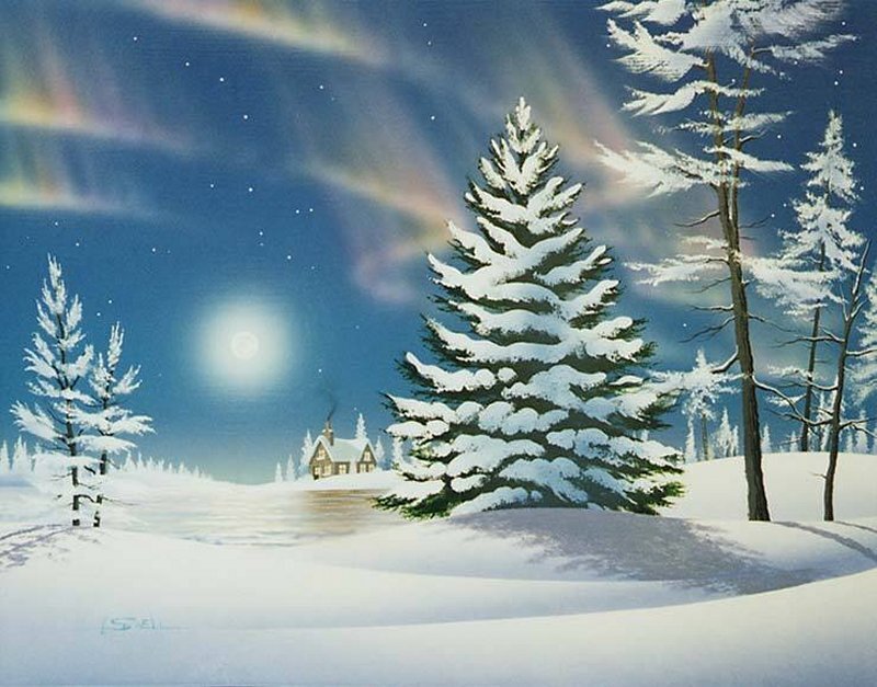 Snow-covered Pine Tree — Blue