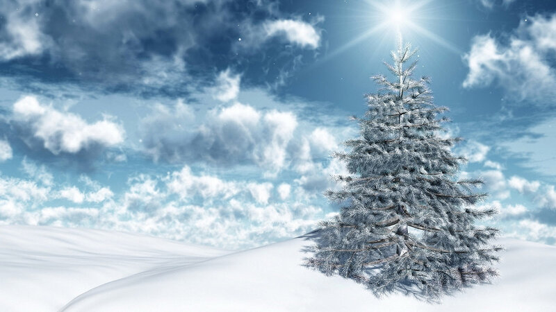 Snow-covered Pine Tree — White, Serene, Winter, Digital Art, Snow, Clouds, Sun