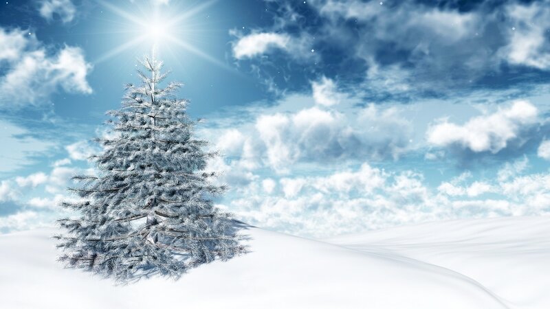 Snow-covered Pine Tree — White, Serene, Winter, Digital Art, Snow, Clouds