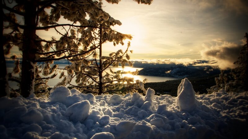 Snow-covered Pine Tree — White, Serene, Winter, Photograph, Lake