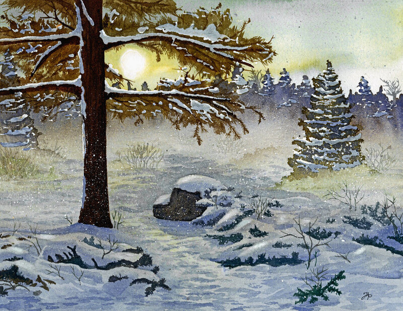 Snow-covered Pine Tree — White