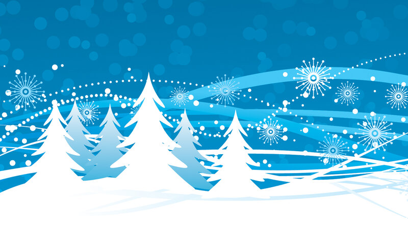 Snow-covered Pine Trees — Blue, Calm, Winter