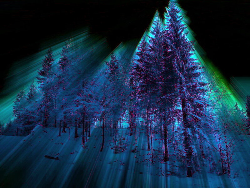 Snow-covered Pine Trees — Blue, Dramatic, Night, Digital Art