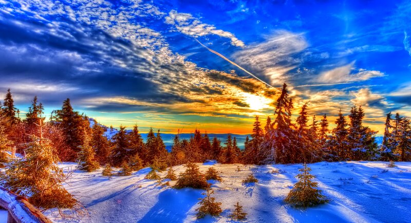 Snow-covered Pine Trees — Blue, Dramatic, Sunset, Photograph, Pine Trees