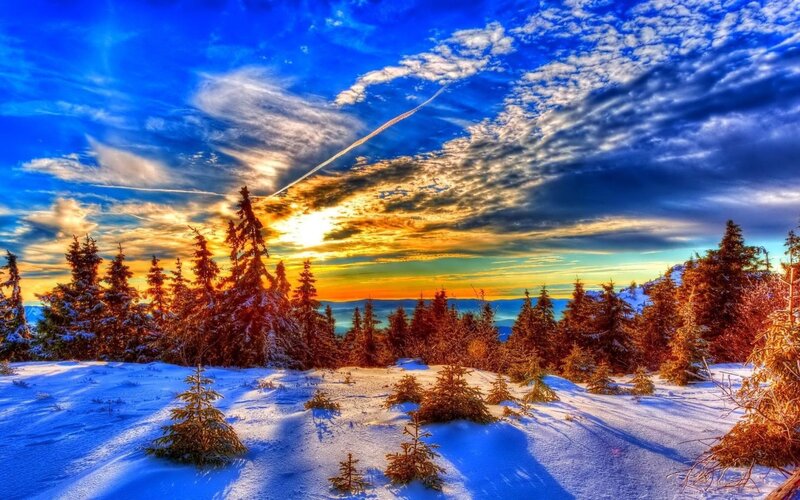Snow-covered Pine Trees — Blue, Dramatic, Sunset, Photograph, Sky