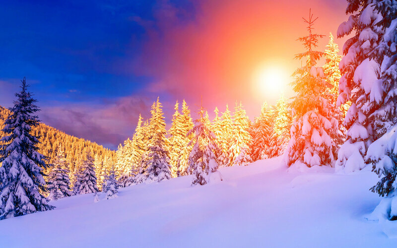 Snow-covered Pine Trees — Blue, Dramatic, Sunset, Photograph, Snow, Sun
