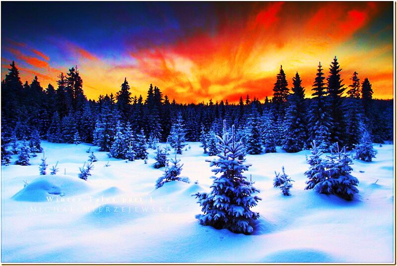 Snow-covered Pine Trees — Blue, Dramatic, Winter, Digital Art