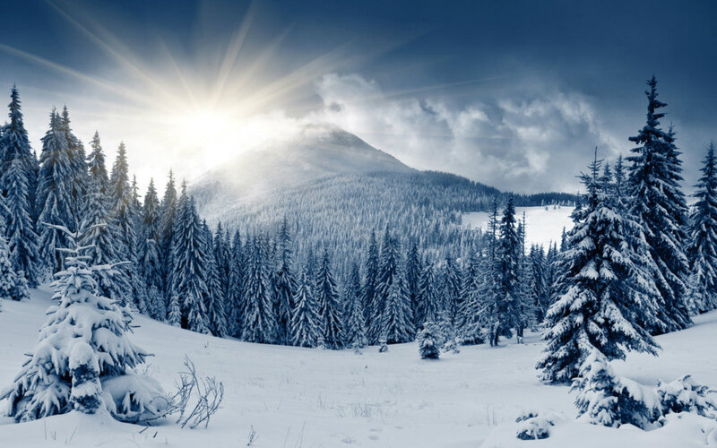 Snow-covered Pine Trees — Blue, Dramatic, Winter, Photograph, Mountain