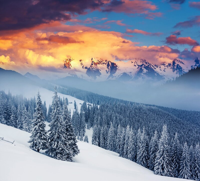 Snow-covered Pine Trees — Blue, Dramatic, Winter, Photograph, Mountains, Clouds