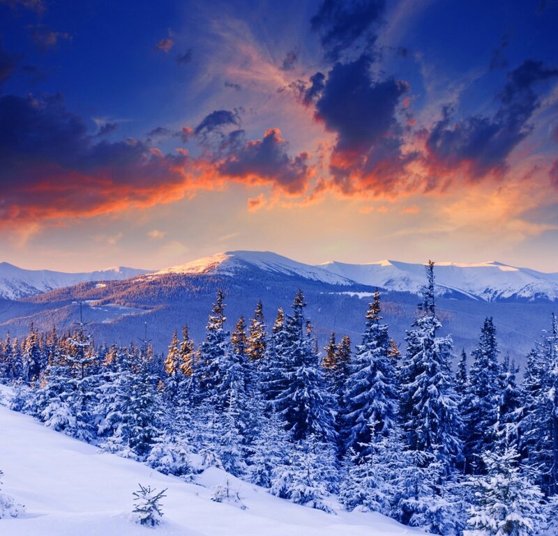 Snow-covered Pine Trees — Blue, Dramatic, Winter, Photograph, Mountains