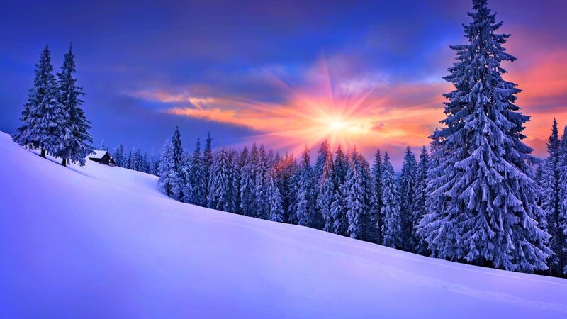 Snow-covered Pine Trees — Blue, Dramatic, Winter, Photograph, Sunset
